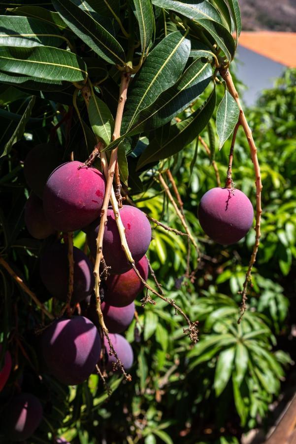 Finca El Moral Puerto De Mogan Dış mekan fotoğraf
